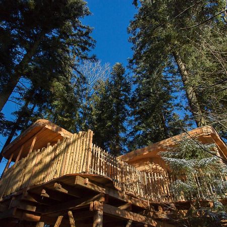 Domaine De L'Authentique Cabanes Dans Les Arbres Fournet-Blancheroche Kültér fotó