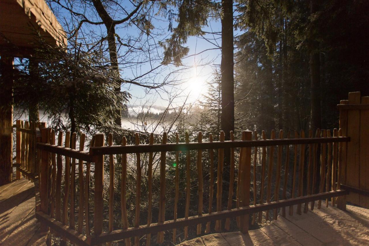 Domaine De L'Authentique Cabanes Dans Les Arbres Fournet-Blancheroche Kültér fotó