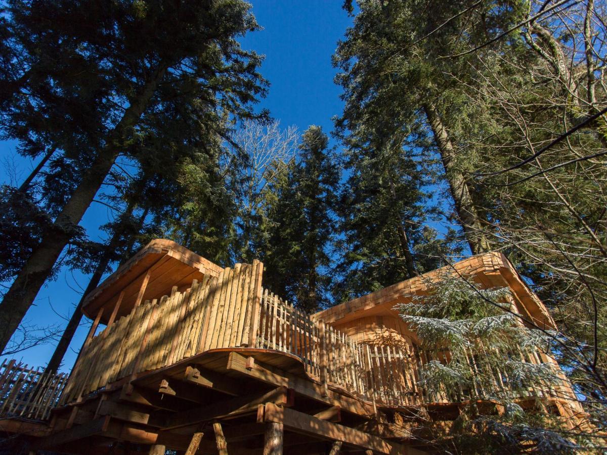 Domaine De L'Authentique Cabanes Dans Les Arbres Fournet-Blancheroche Kültér fotó
