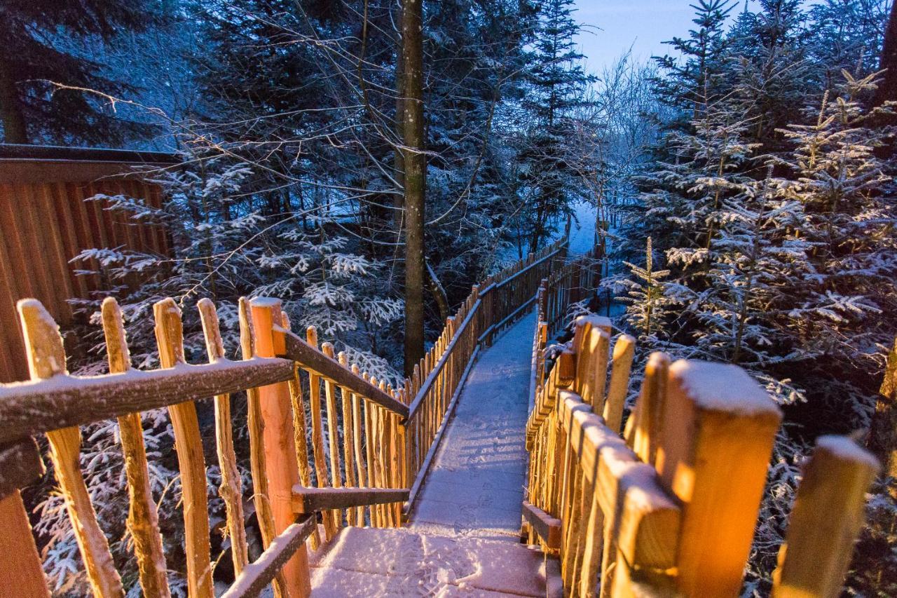 Domaine De L'Authentique Cabanes Dans Les Arbres Fournet-Blancheroche Kültér fotó